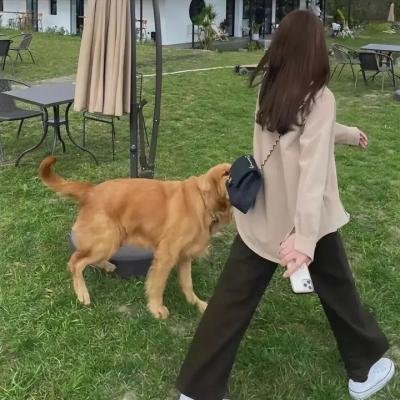 炽火连心